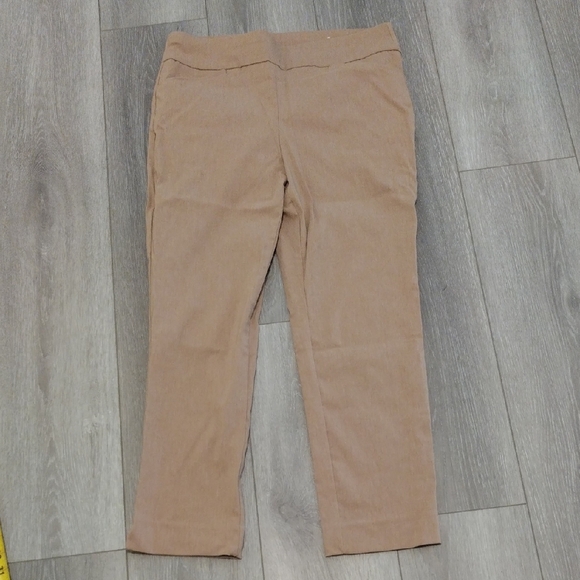 Chico's Pants - Chico's Perfect Stretch Ankle Pants in Tan